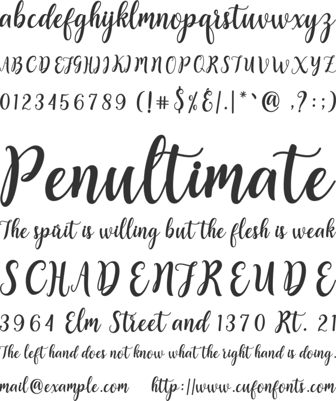 Sweety Script font preview