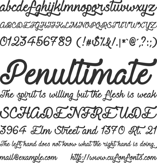 Requited Script Demo font preview