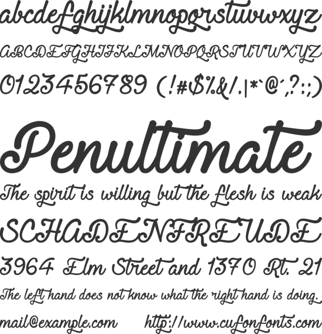 Requited Script Demo font preview