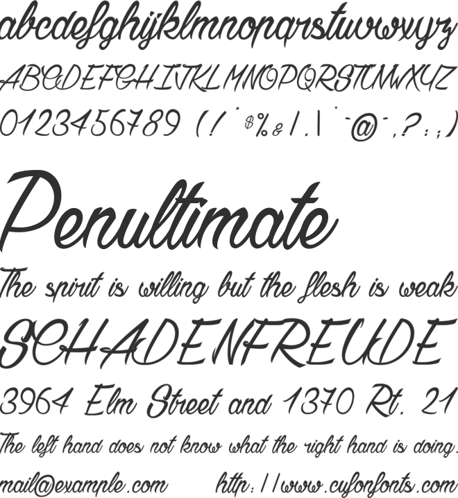 Chardons_PersonalUseOnly font preview