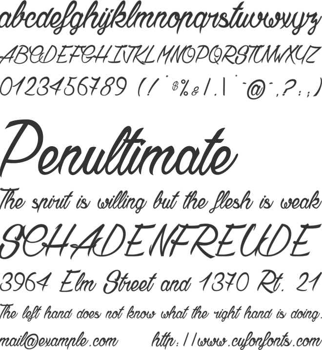 Chardons_PersonalUseOnly font preview