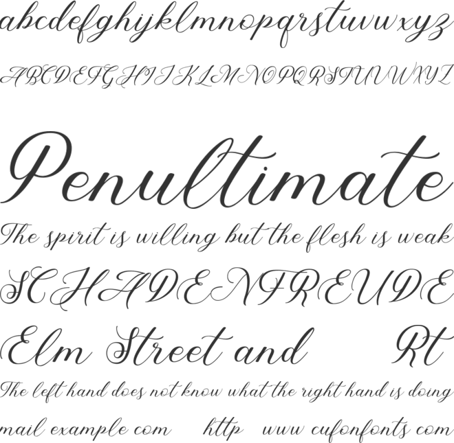 Abundant Script DEMO font preview