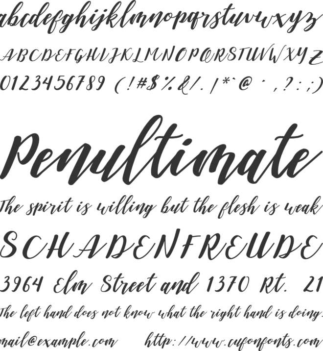 Daniesha font preview