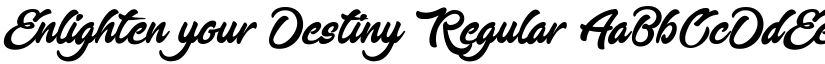 Enlighten your Destiny Regular font