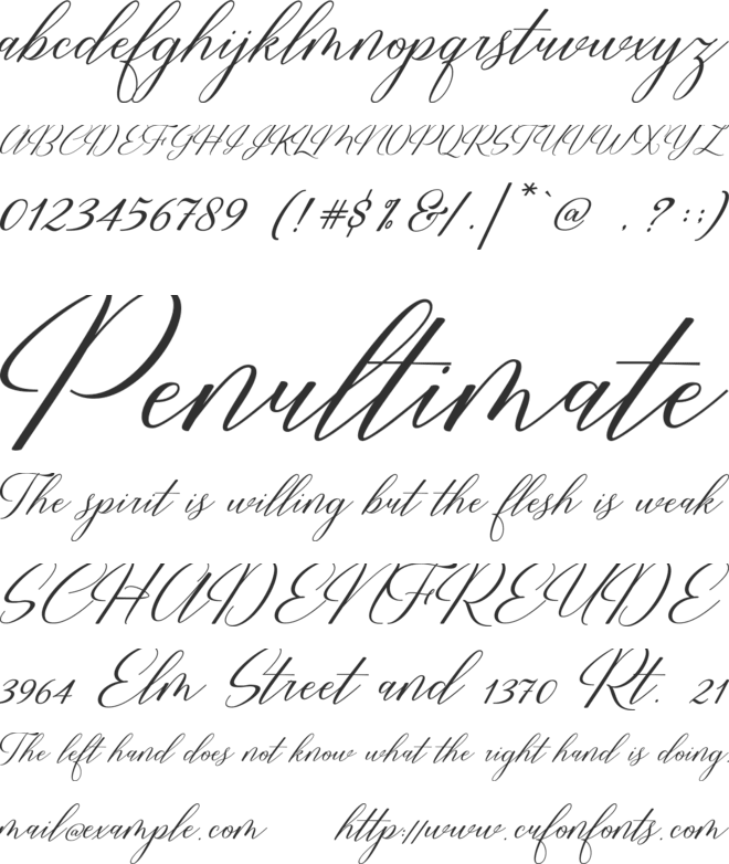 Restiany Script font preview