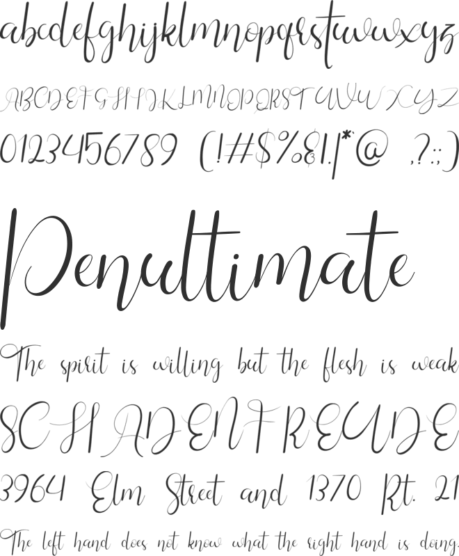 Silhouette Re 02 Personal Use font preview