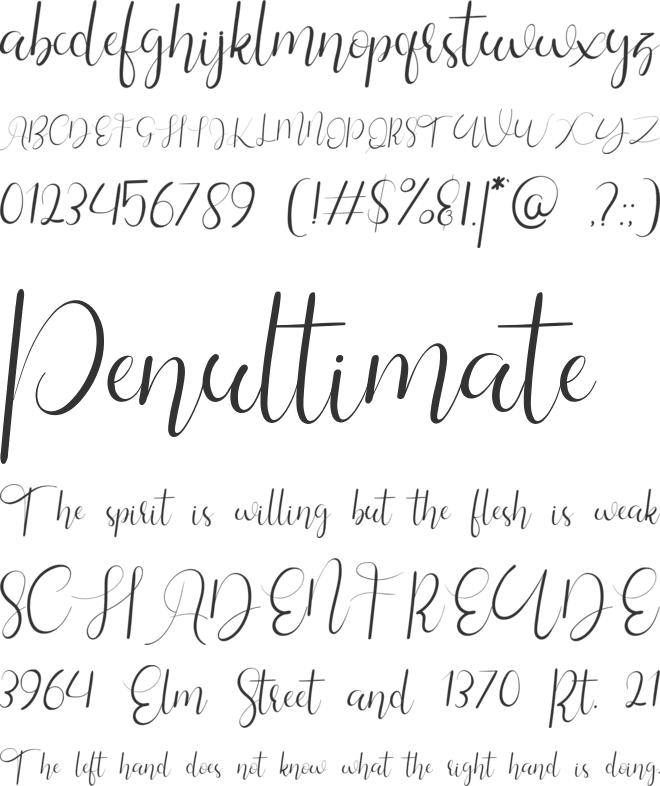 Silhouette Re 02 Personal Use font preview