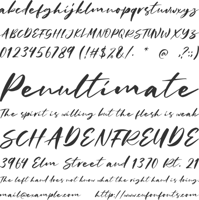 Charlotta Script DEMO font preview