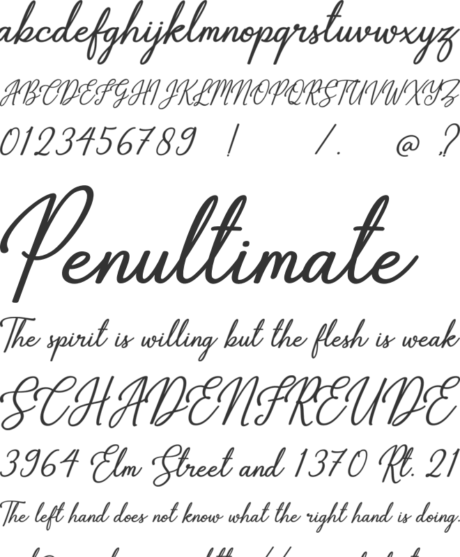 Gabryna font preview