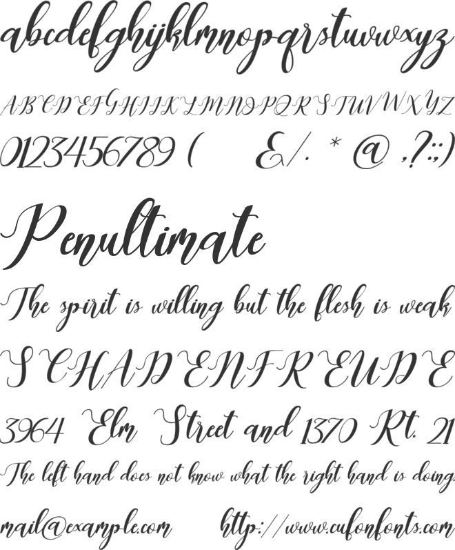 Latte Coffee script font preview