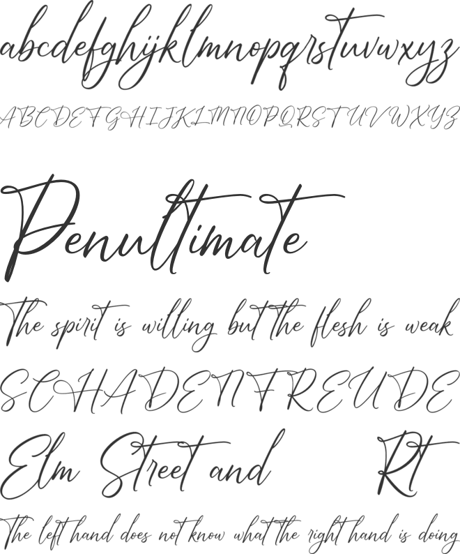 Bright Daily FREE font preview