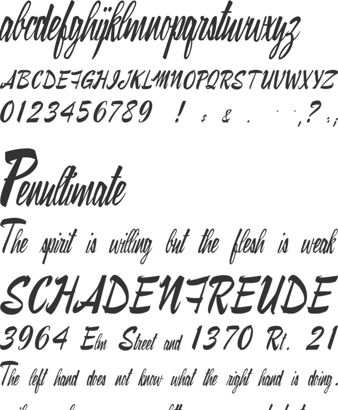 Ray Morgan Style font preview