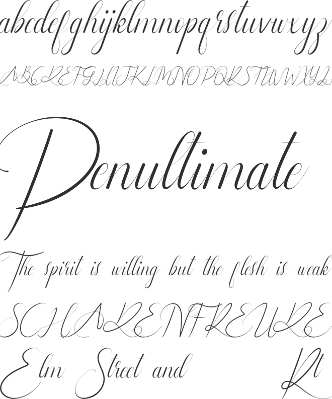 Leathering Demo font preview