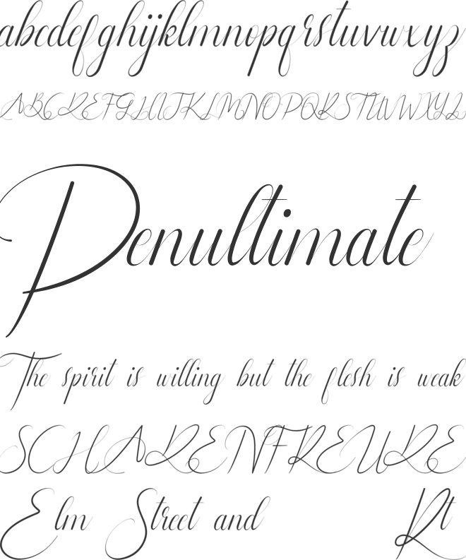 Leathering Demo font preview