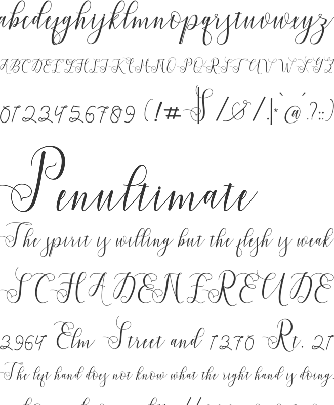 Violetta Script font preview