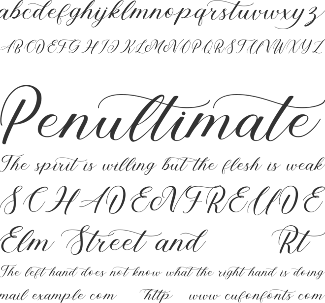 Vedacity DEMO font preview