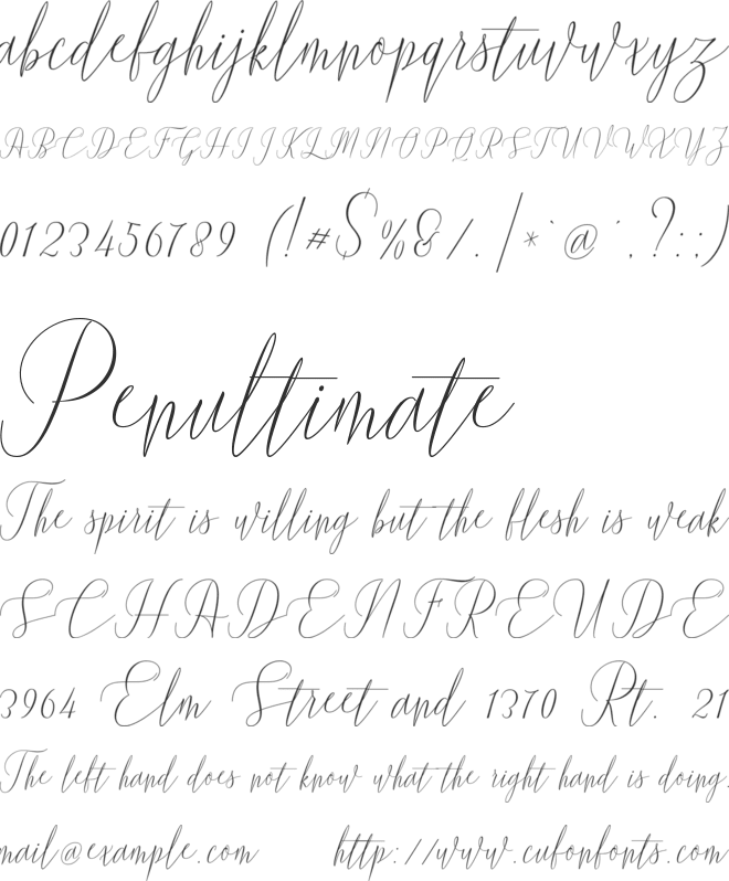 Wetting font preview