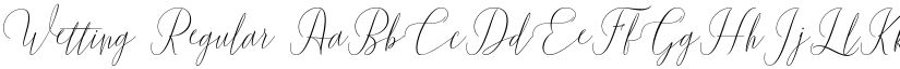 Wetting Regular font