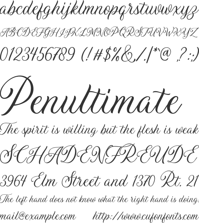 Daytonia font preview