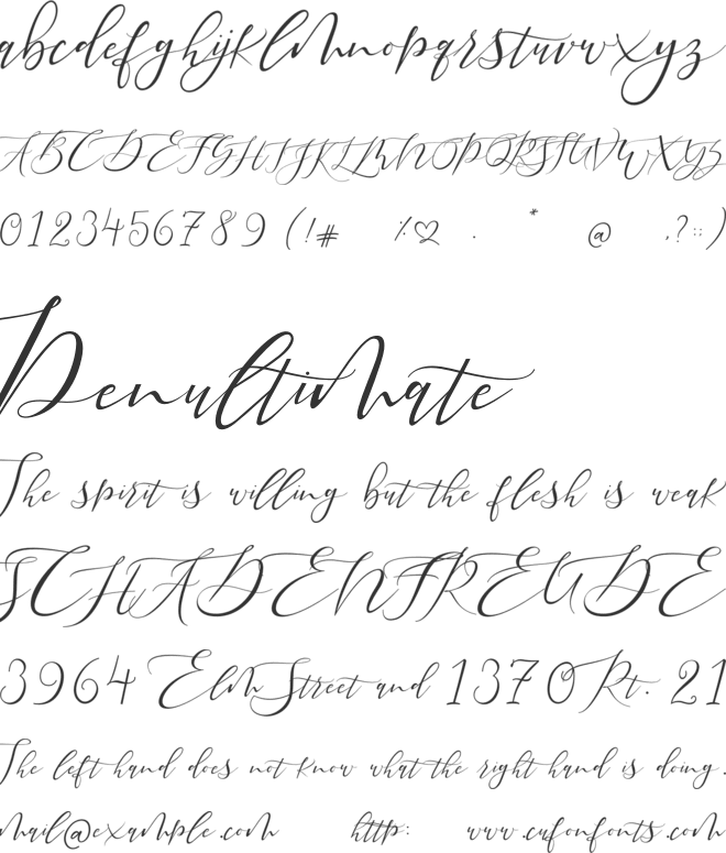 Pretty Women Script font preview