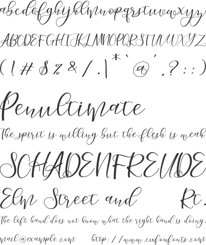 morelight script font preview