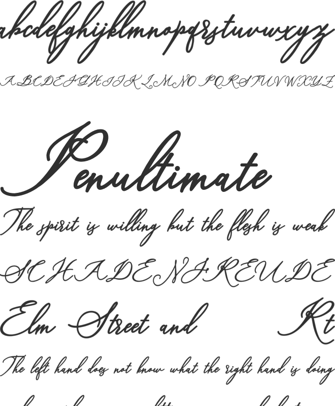 cynthia font preview