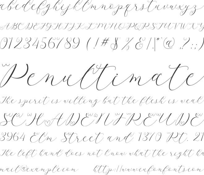 Latia font preview