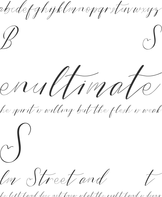 Bride Style DEMO font preview