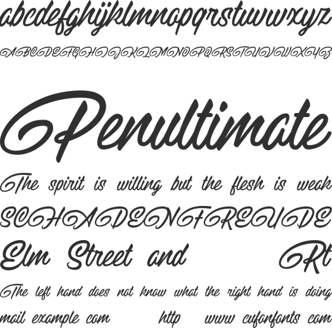 Raitons Demo font preview