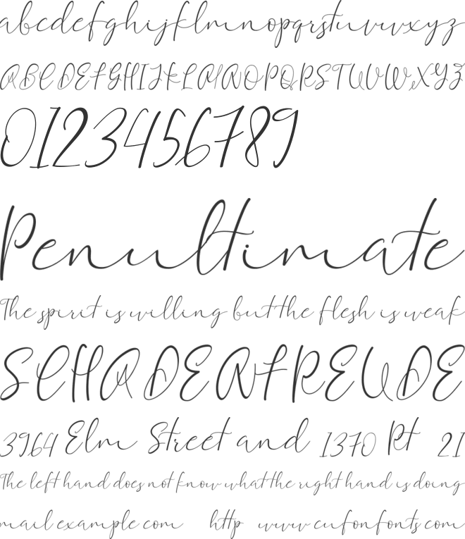 Equalizer Script Demo font preview