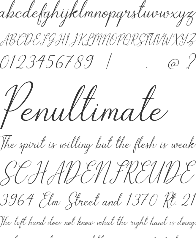 The Bellovia Demo font preview