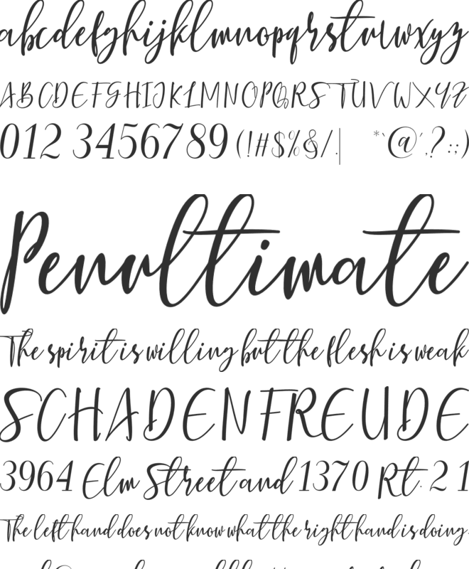Berhilda Script font preview