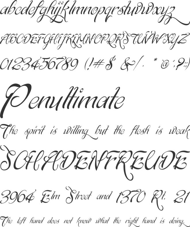 Signarita Chloe font preview