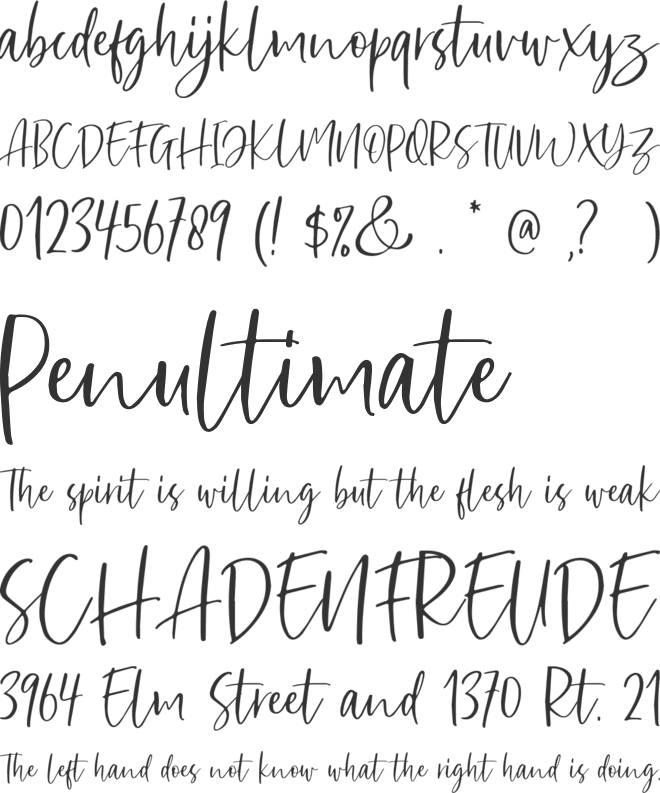 Sharon Baker DEMO font preview