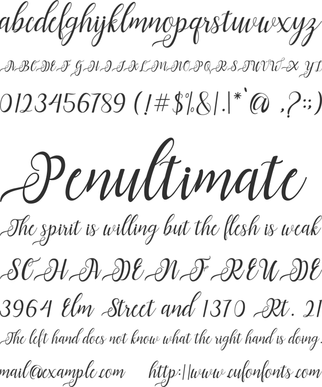 Nayla Script font preview