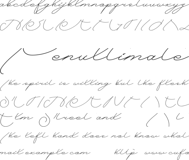 Butterlies Demo font preview