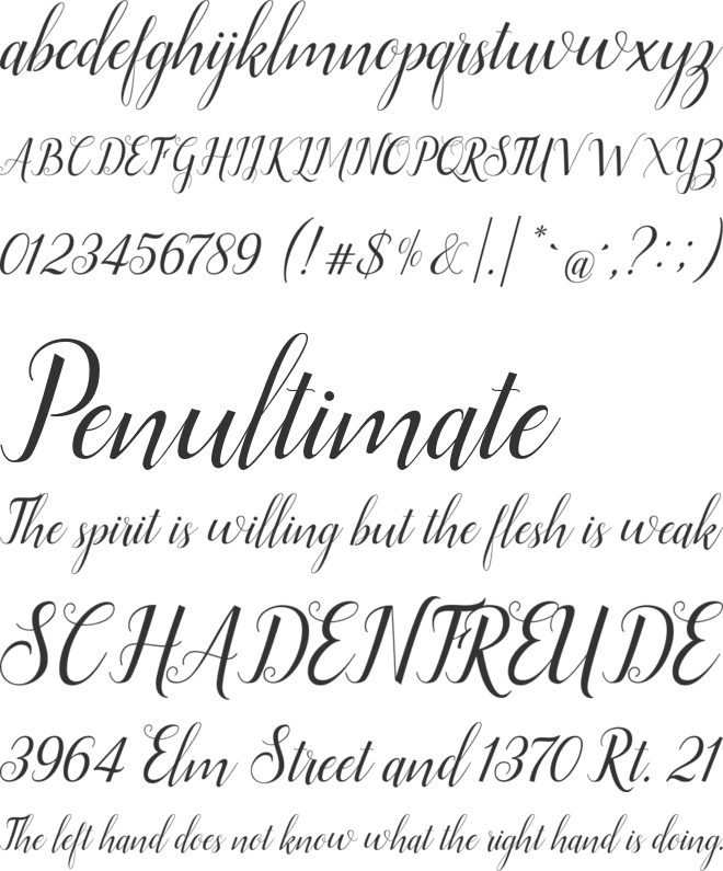 Ellizabeth font preview