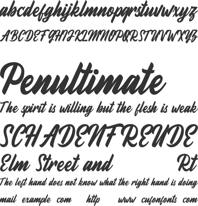 Fineberg Demo font preview