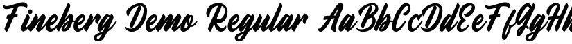Fineberg Demo Regular font