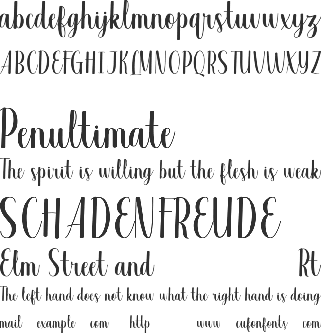 Valsday Script DEMO font preview