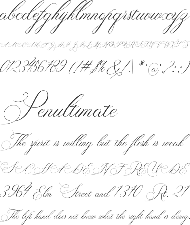 Aureligena Script font preview