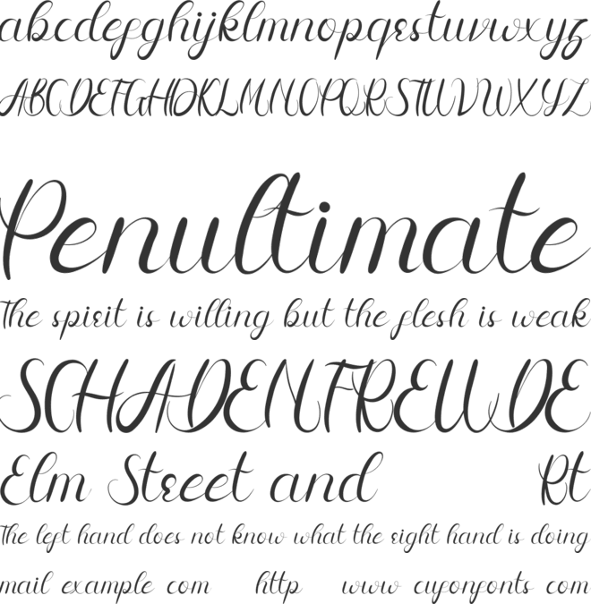 Meisya Emilia Demo font preview