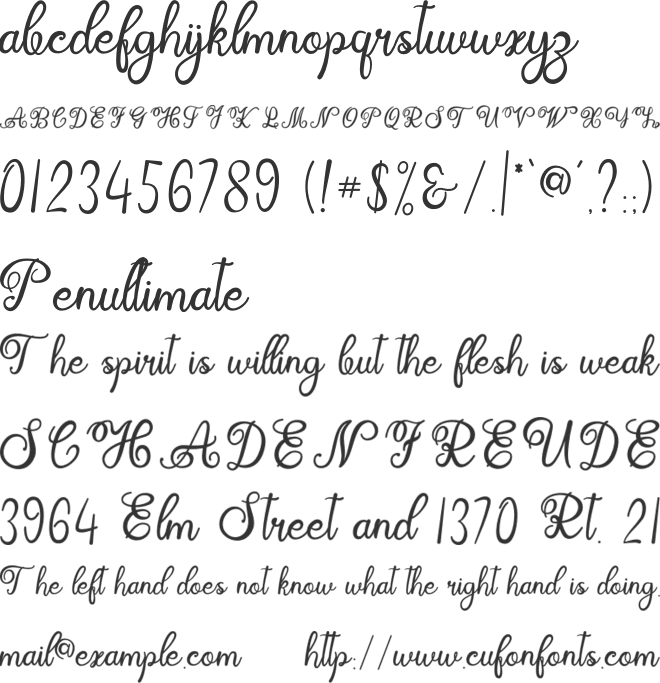 ayushita font preview