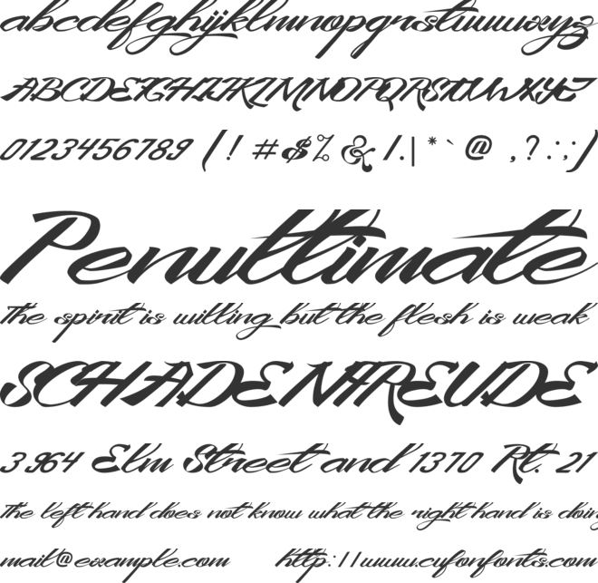 King City Free Font font preview