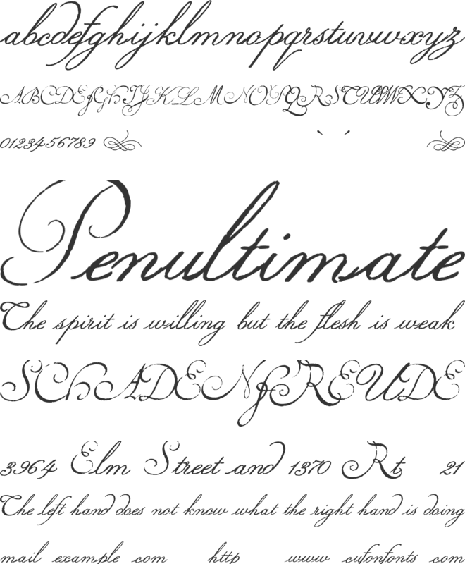Volutes font preview