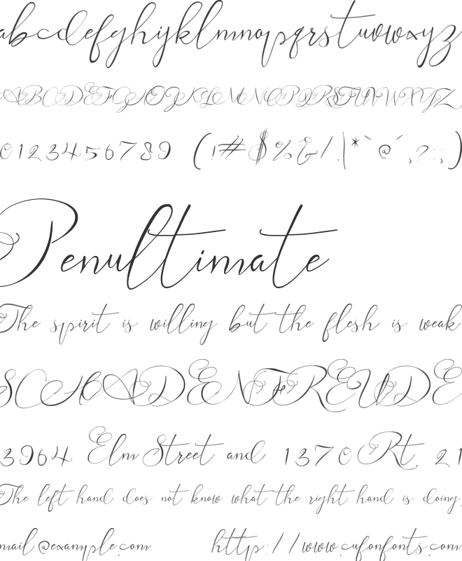 andora ardelion font preview