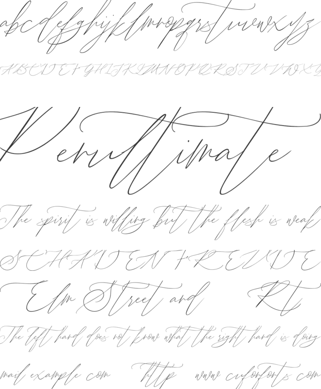 John Davidson Demo font preview