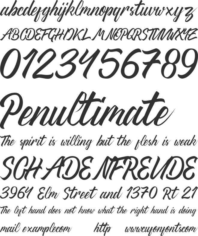 Thipe Typeface DEMO font preview