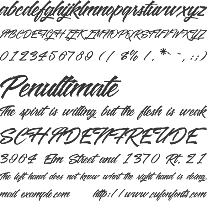 Washington Basketball font preview