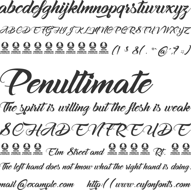 Hirondelles des Alpes font preview